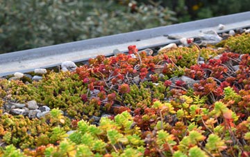 the cost of Shelfield green roof installation