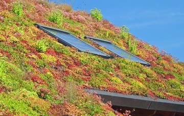 Shelfield living roof systems