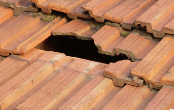 roof repair Shelfield
