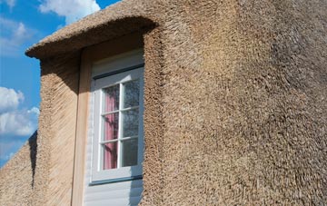 Shelfield thatch roof disadvantages