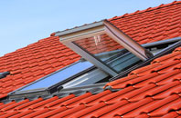 Shelfield roof window